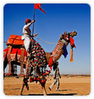 Rajasthan Camel Fiar